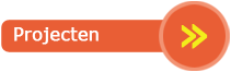 Projecten