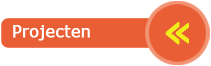 Terug naar projecten